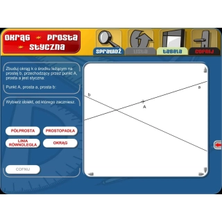 Didakta - Geometria 1 - Zadania konstrukcyjne - instalacja sieciowa 20PC/40PC/60PC