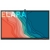 Monitor Newline Elara TT-8622Q nr SAP: G540201P003